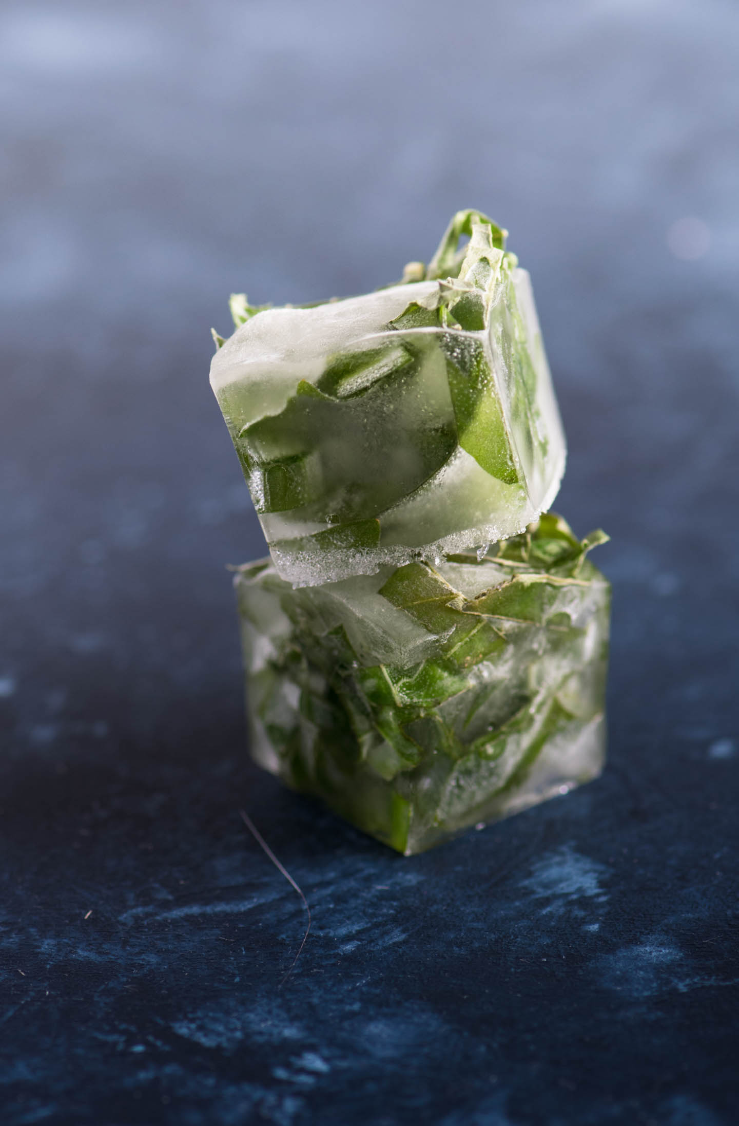 https://www.urbanfoodiekitchen.com/wp-content/uploads/2018/04/Herb-ice-cubes_edit.jpg