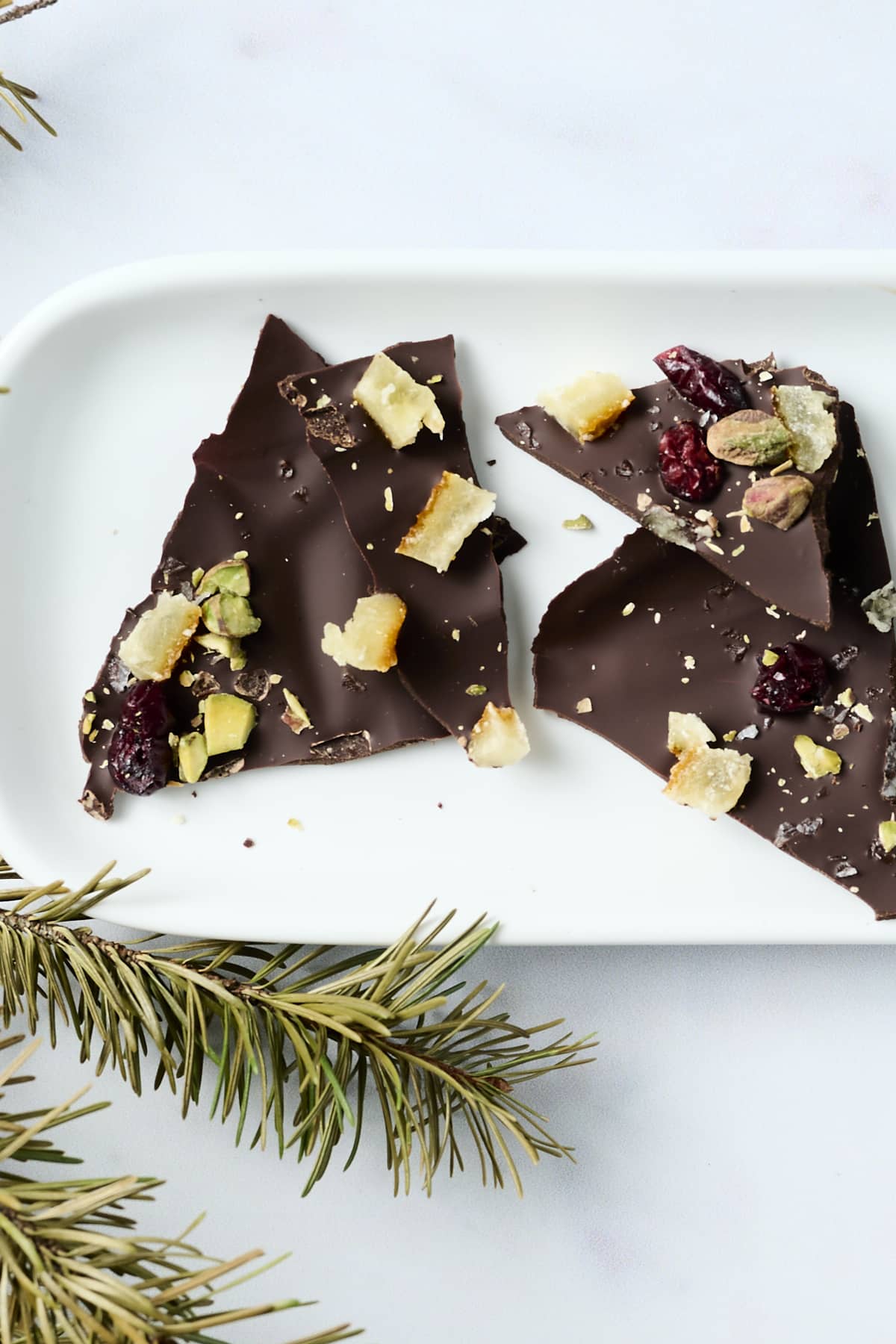 Pieces of dark chocolate bark on a small white tray